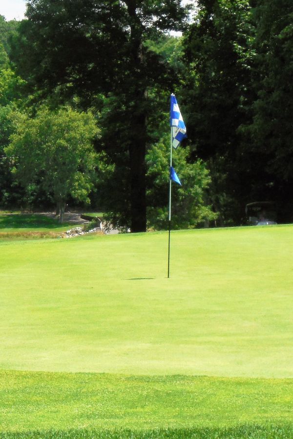 6 green a (1) 6 green a (1)