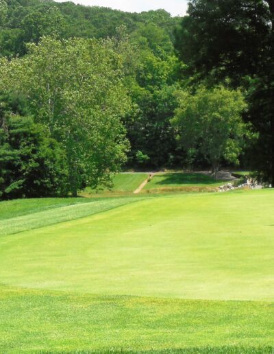 6 green a